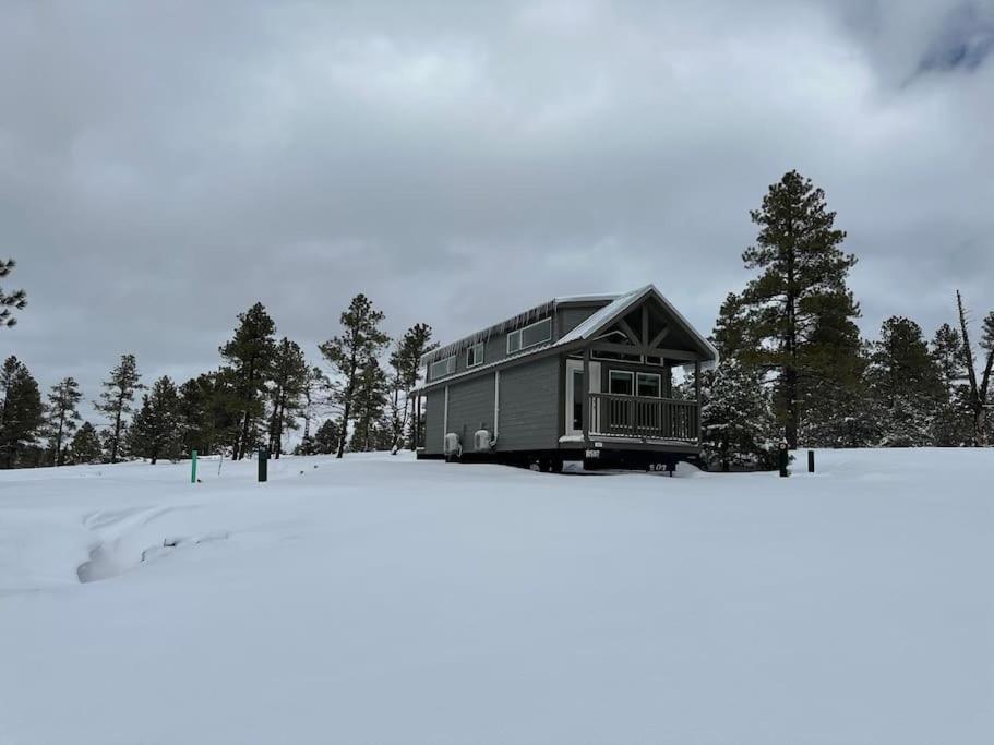 Cabins With A Mountain View 4A Williams Exteriör bild